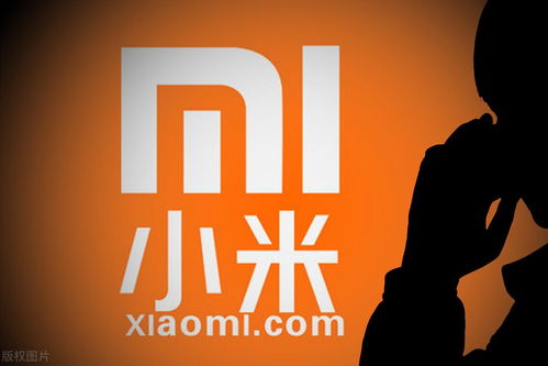 最新中国十大互联网公司概览与锐之旗网络简介